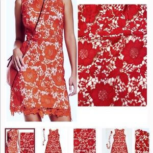 Red Floral Lace dress size 8